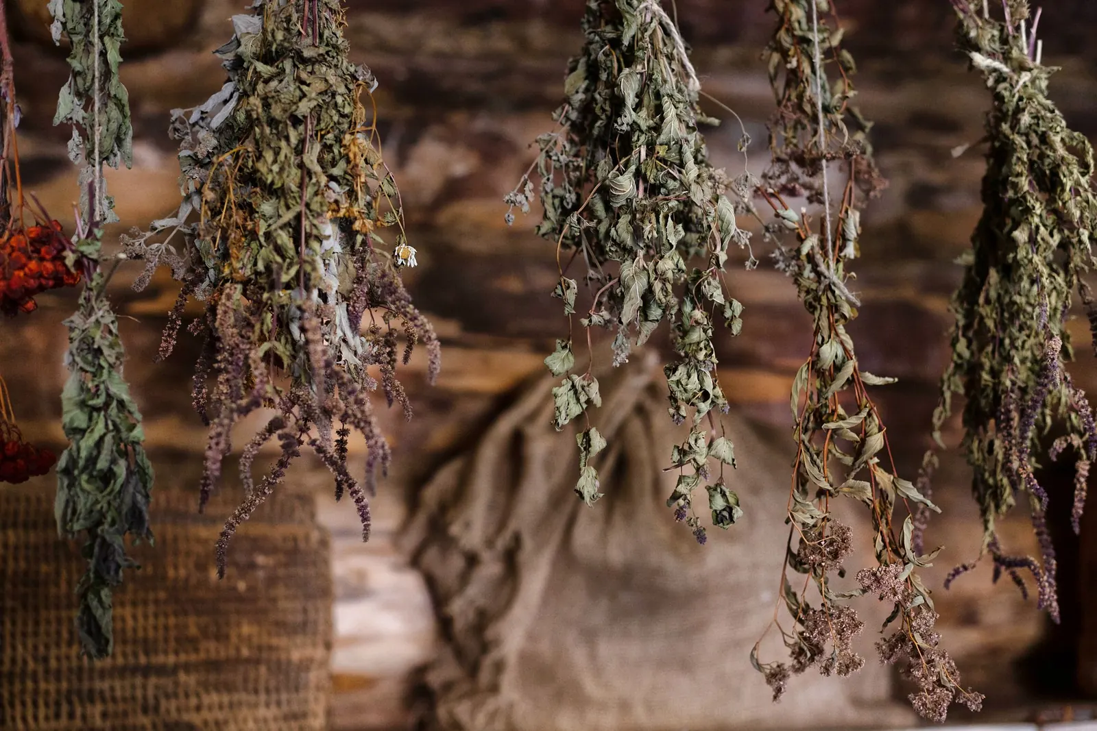 Bunches of herbs drying slowly on a line