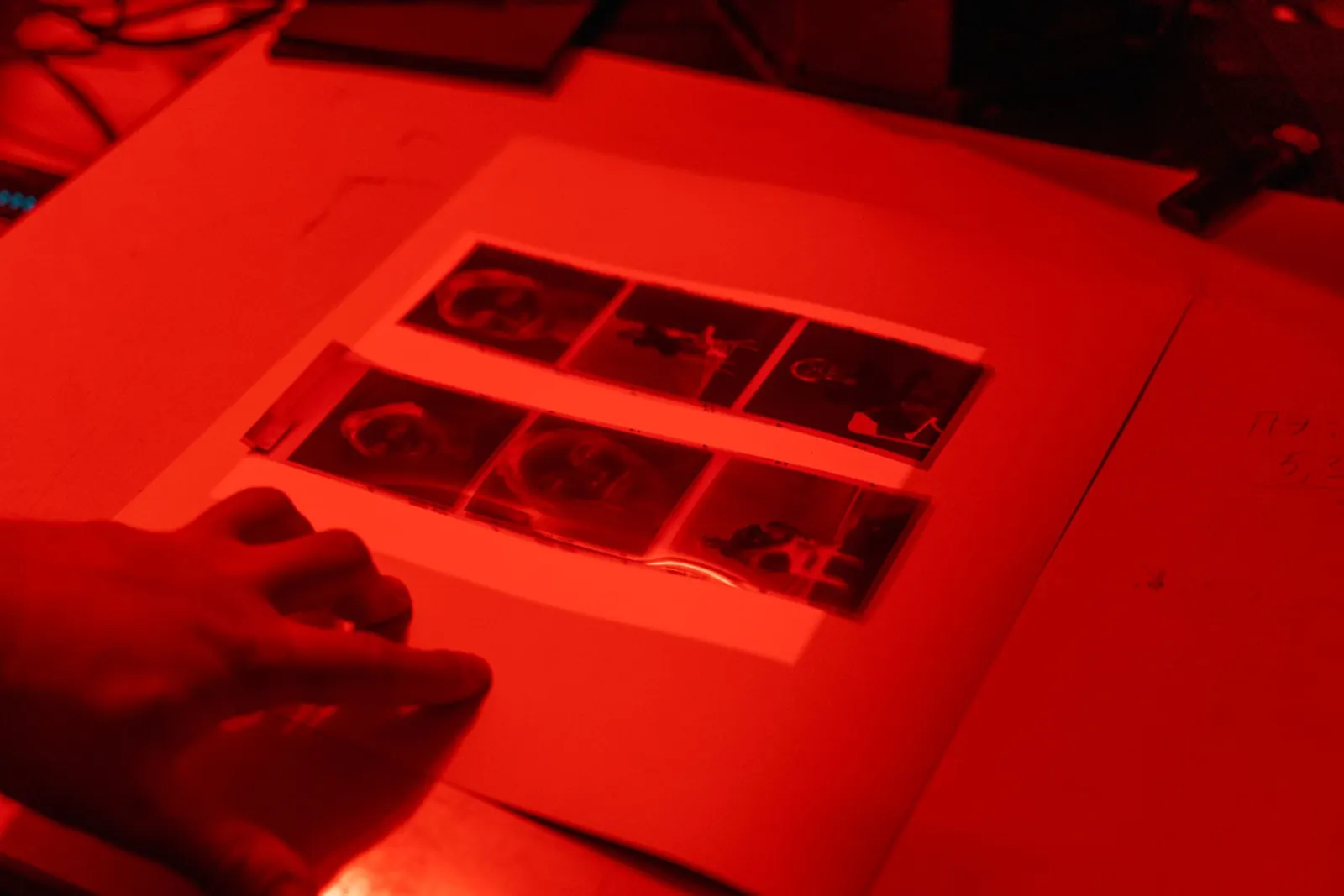 Negatives examined under the red light of a darkroom