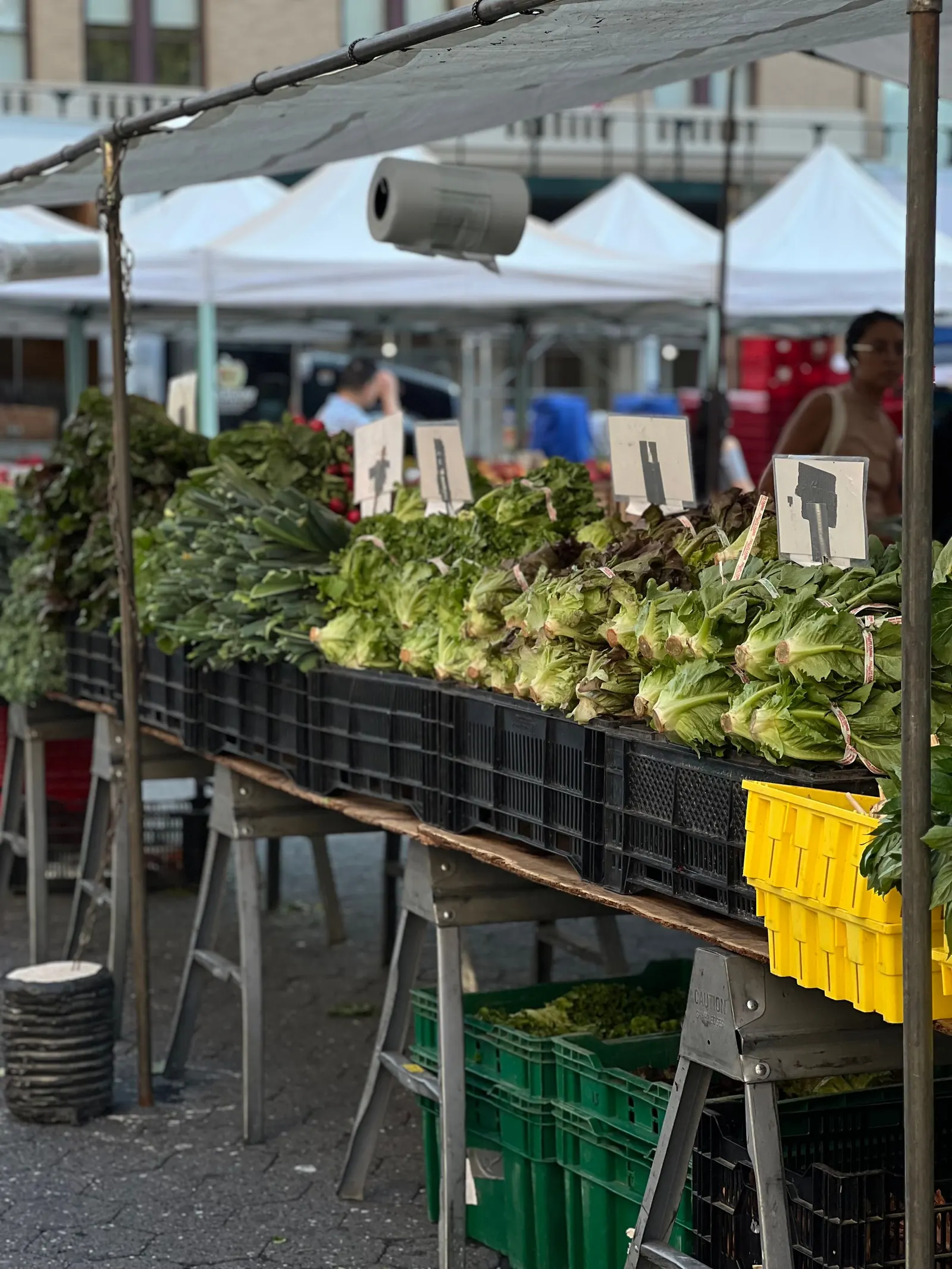 Fresh greens lined up along a market stall