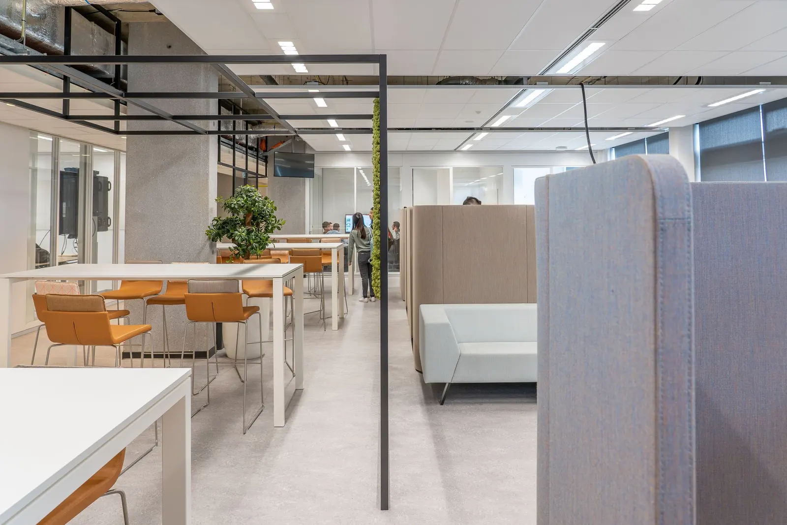 A calm contemporary workspace with natural light