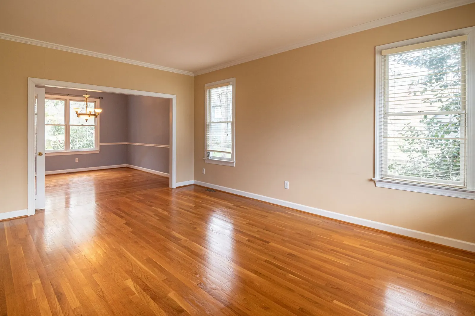 An empty room with wooden floors and tall windows